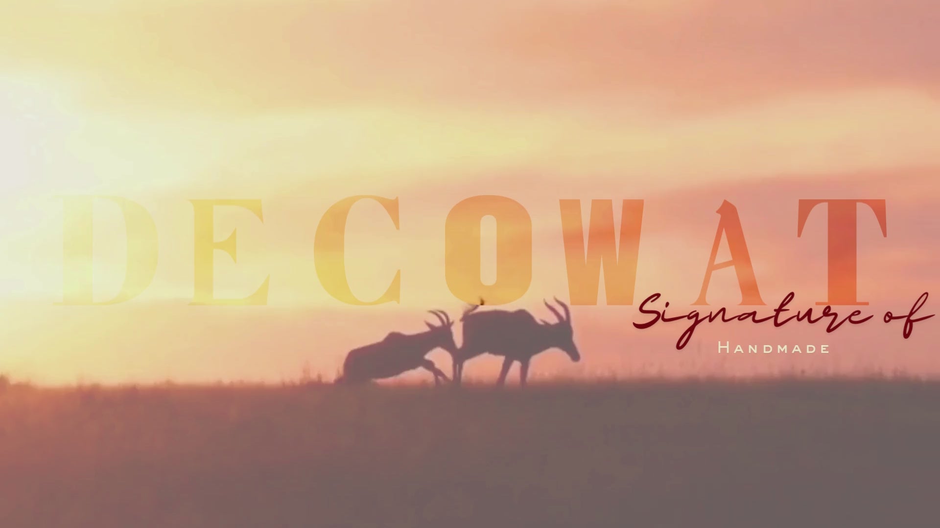 Load video: Decowat Branding